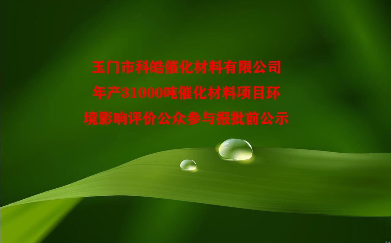 玉門市科皓催化材料有限公司年産31000噸催化材料項目 環境影響評價公衆參與報批前公示