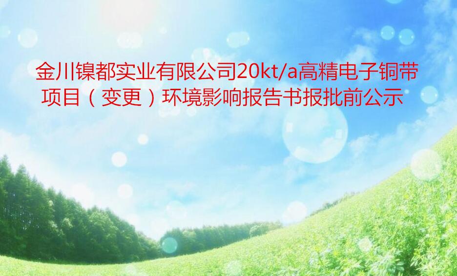 金川鎳都實業有限公司20kt/a高精電子銅帶項目（變更）環境影響報告書(shū)報批前公示